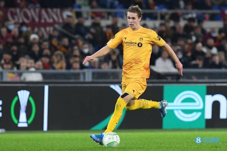 亚洲精品网站在线观看不卡无广告